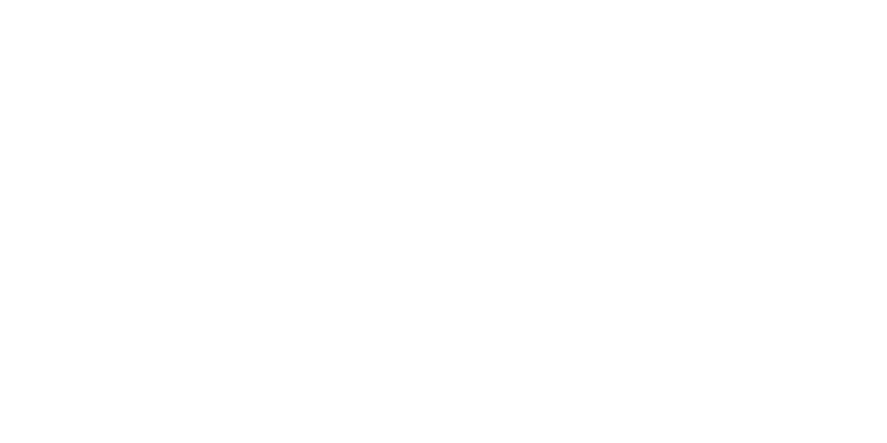 Logo FGV